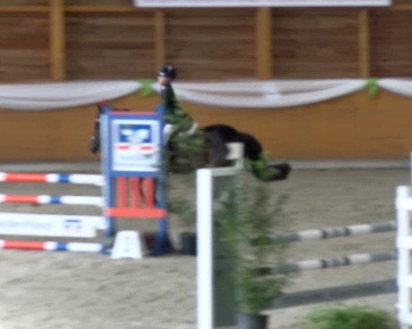 Reitturnier Xanten - Reitanlage Miss 2024