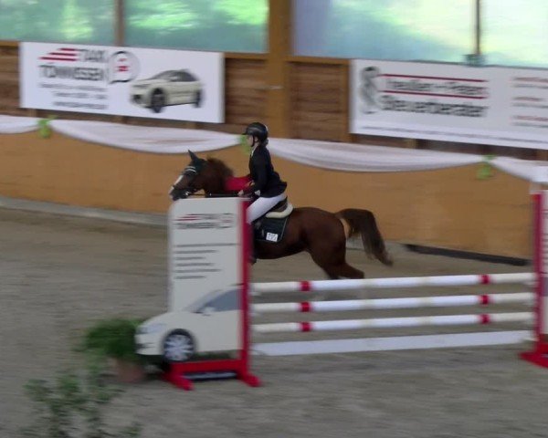 Reitturnier Xanten - Reitanlage Miss 2024