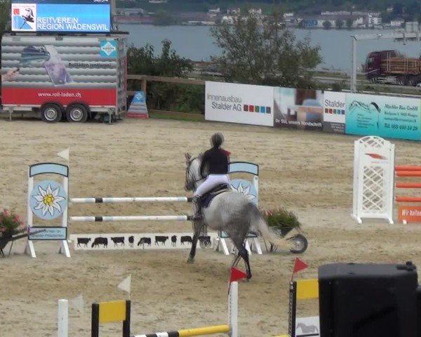 Reitturnier Wädenswil 2024