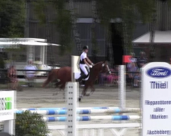 Reitturnier Herbern 2013