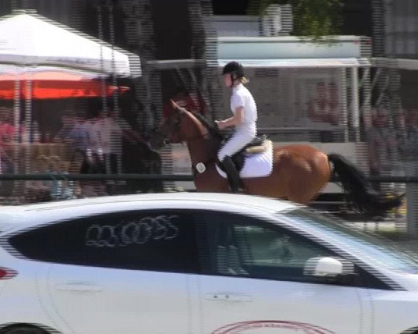Reitturnier Herbern 2013