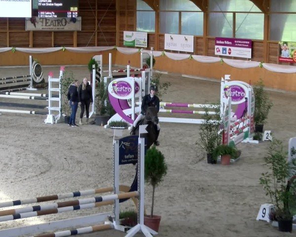 Reitturnier Xanten - Reitanlage Miss 2024