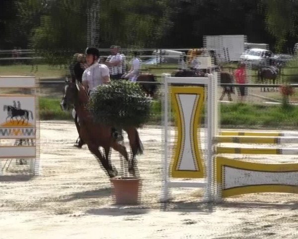 Torneo Ecuestre Herbern 2013