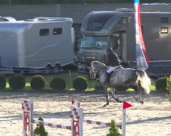 Reitturnier Basel 2024