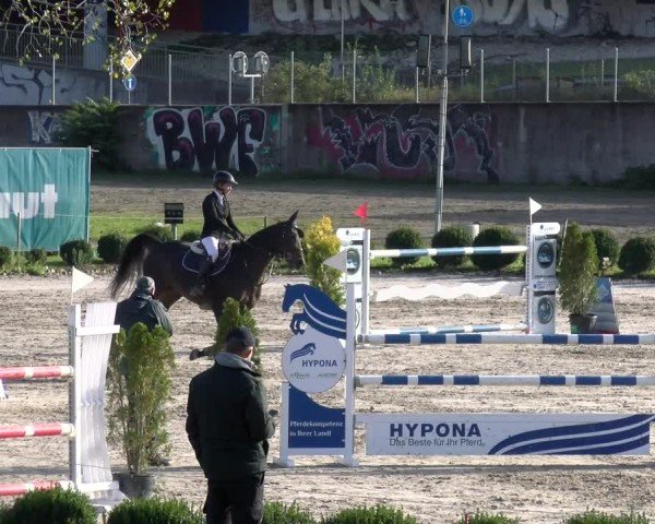 Reitturnier Basel 2024