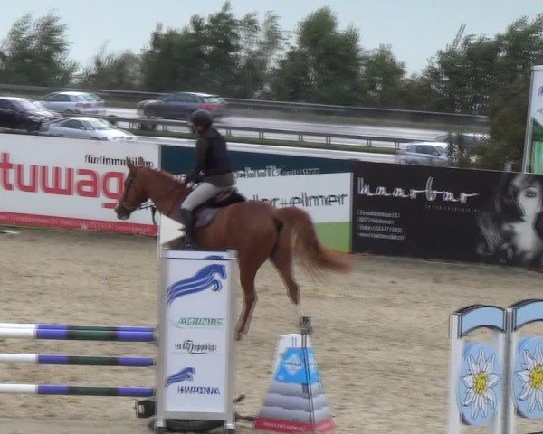 Reitturnier Wädenswil 2024