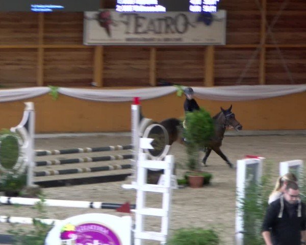 Reitturnier Xanten - Reitanlage Miss 2024