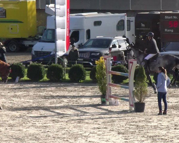 Reitturnier Basel 2024