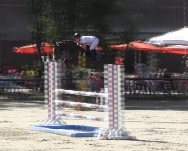 Großes Reit- und Springturnier 2013 des RuF