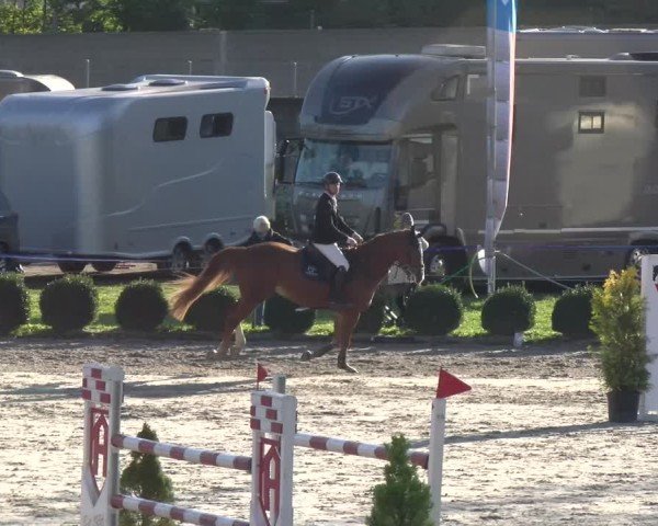 Reitturnier Basel 2024