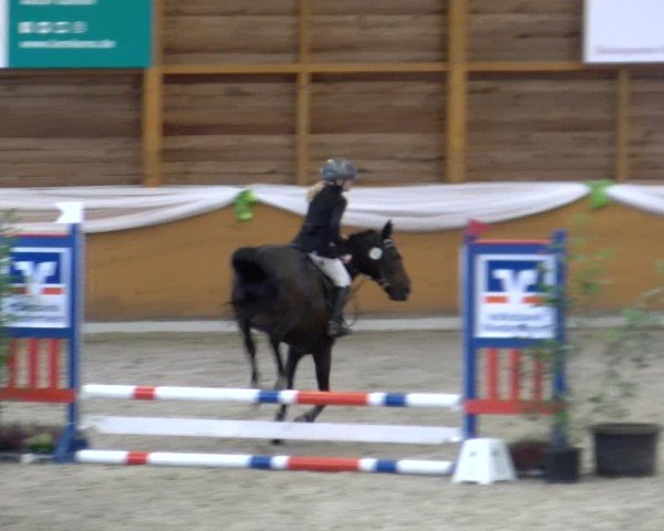 Reitturnier Xanten - Reitanlage Miss 2024