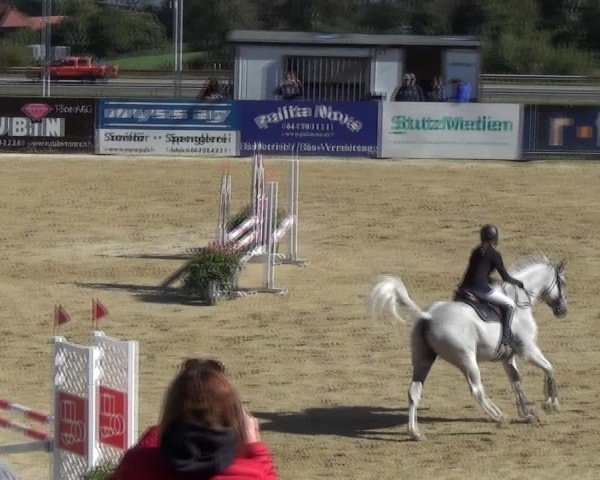 Reitturnier Wädenswil 2024