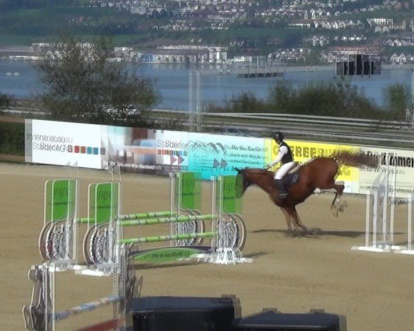 Reitturnier Wädenswil 2024