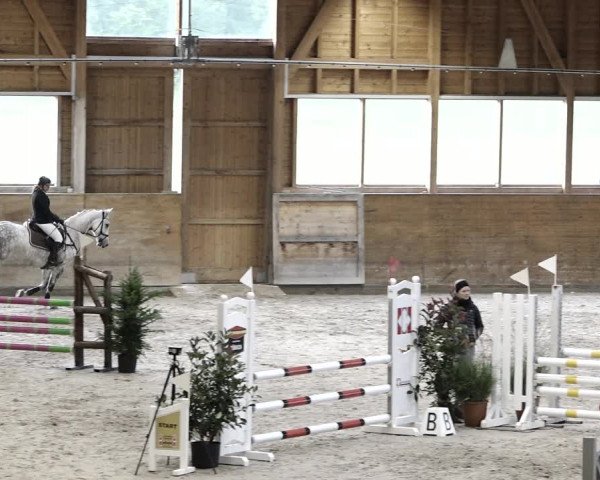 Reitturnier Rüti 2021