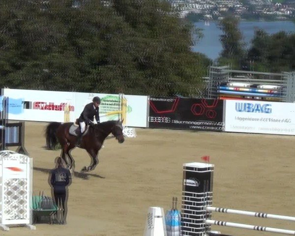 Reitturnier Wädenswil 2024