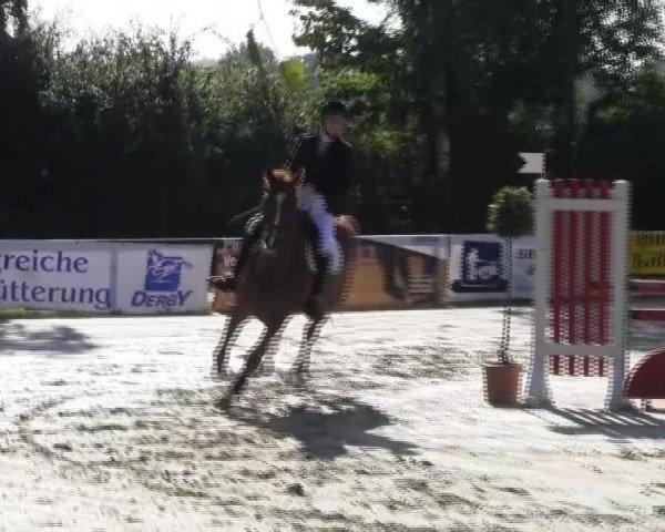 Großes Reit- und Springturnier 2013 des RuF