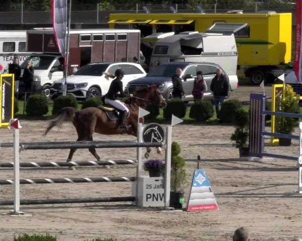 Reitturnier Basel 2024