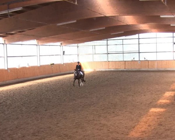 Großes Reit- und Springturnier 2013 des RuF