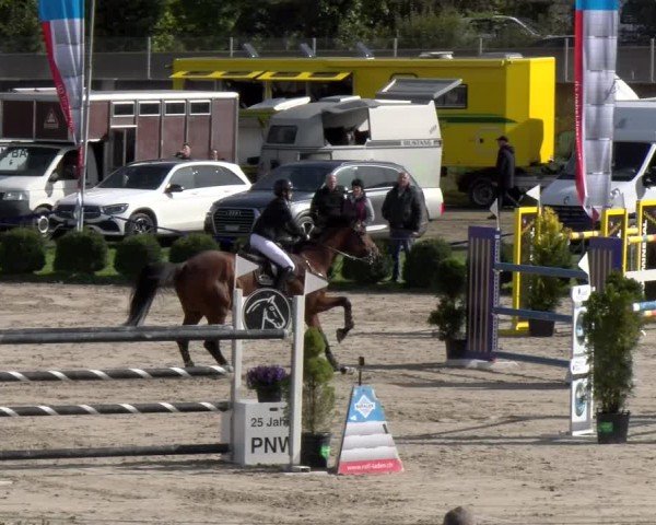 Reitturnier Basel 2024