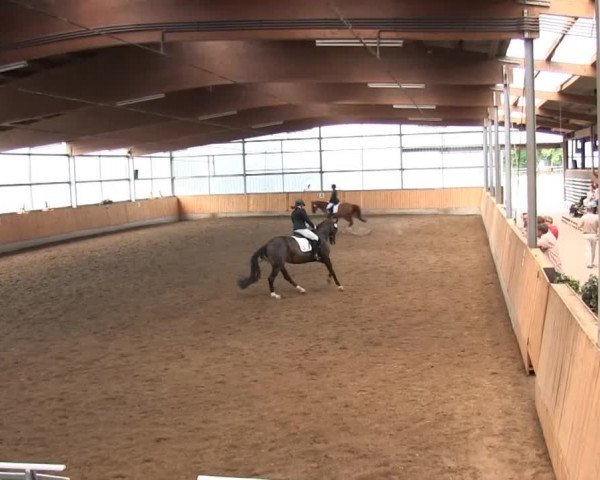 Großes Reit- und Springturnier 2013 des RuF