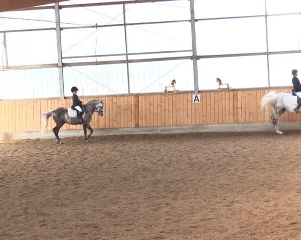 Reitturnier Herbern 2013