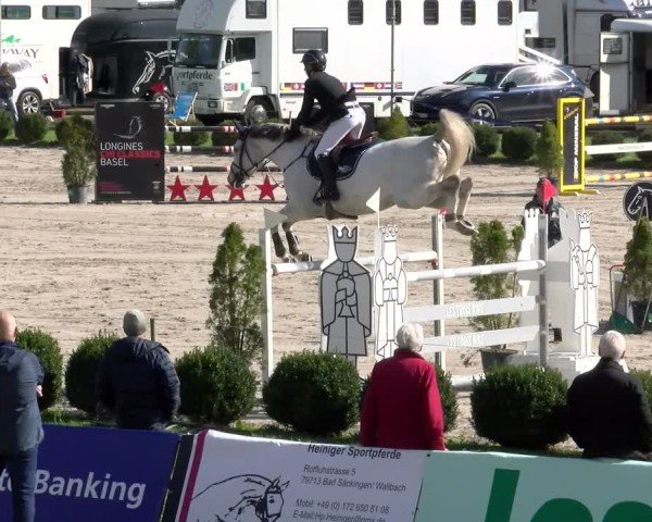 Reitturnier Basel 2024