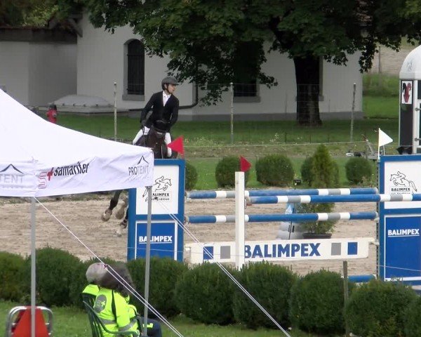 Reitturnier Basel 2024