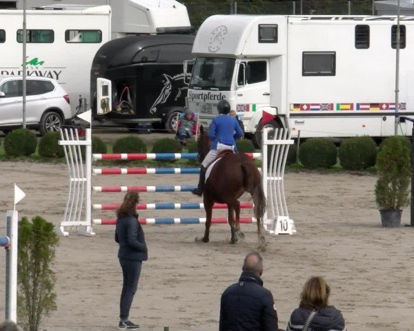 Reitturnier Basel 2024