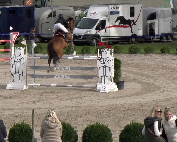 Reitturnier Basel 2024