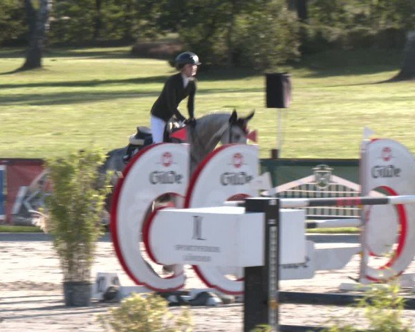 Reitturnier Westergellersen 2024