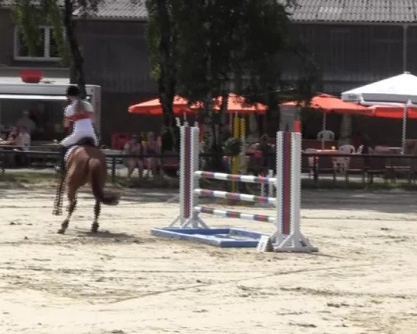 Großes Reit- und Springturnier 2013 des RuF