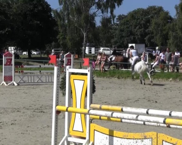 Reitturnier Herbern 2013