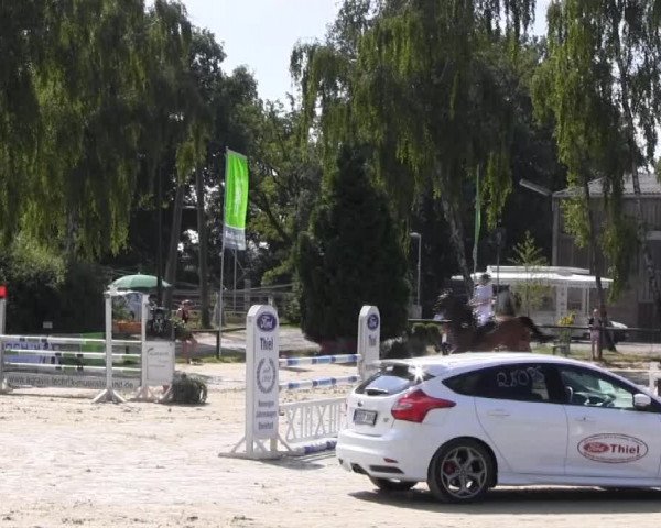 Reitturnier Herbern 2013