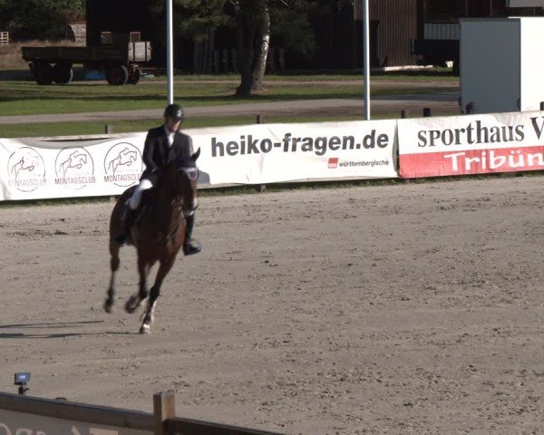 Reitturnier Westergellersen 2024