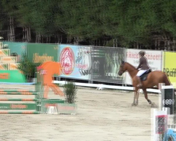 Reitturnier Preding 2024
