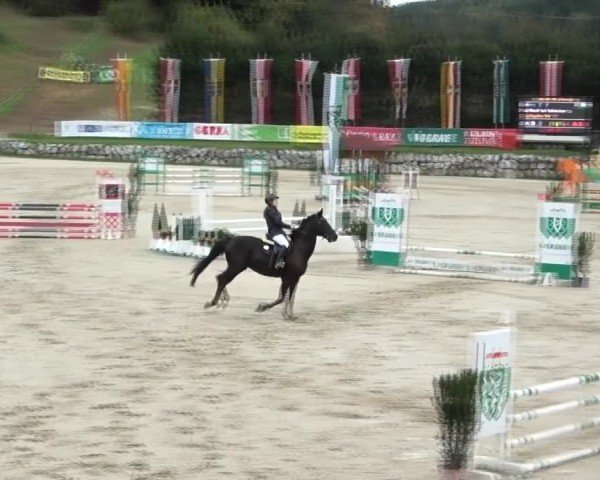 Reitturnier Preding 2024