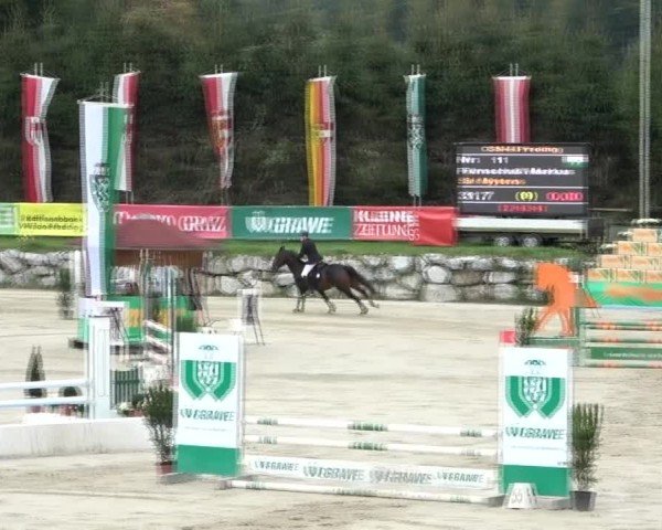 Reitturnier Preding 2024