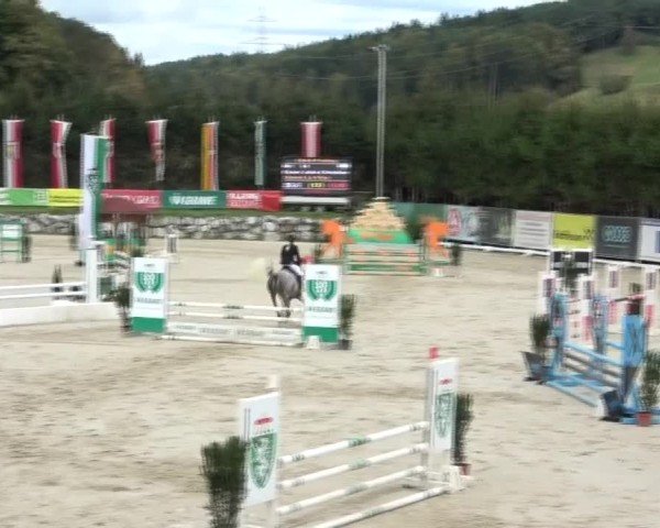 Reitturnier Preding 2024