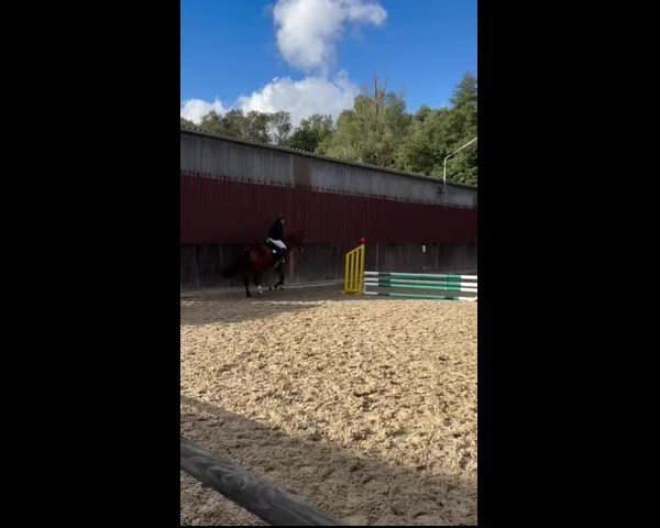 Video von Kommander Pezi