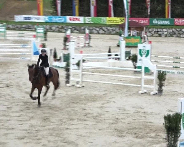 Reitturnier Preding 2024