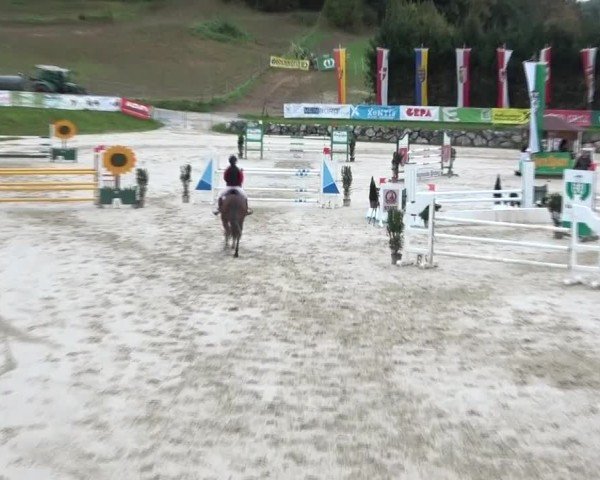 Reitturnier Preding 2024
