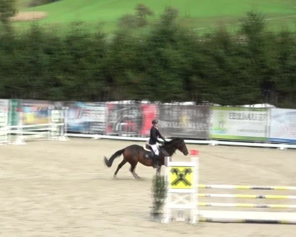 Reitturnier Preding 2024