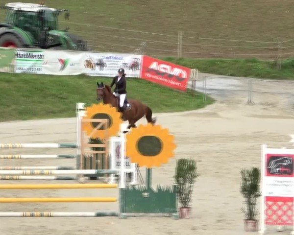 Reitturnier Preding 2024