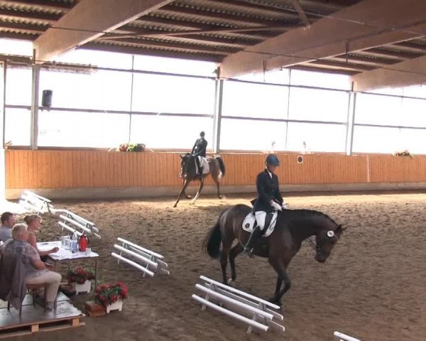 Großes Reit- und Springturnier 2013 des RuF