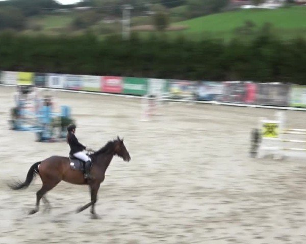 Reitturnier Preding 2024