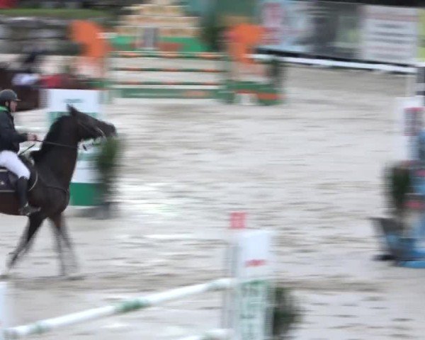 Reitturnier Preding 2024