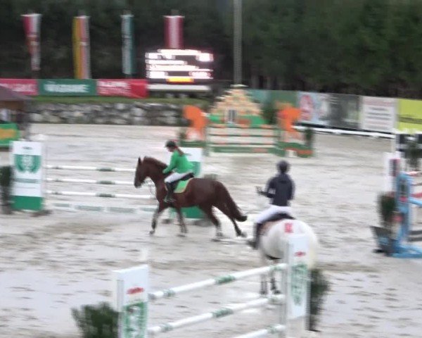Reitturnier Preding 2024