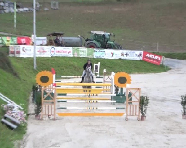 Reitturnier Preding 2024