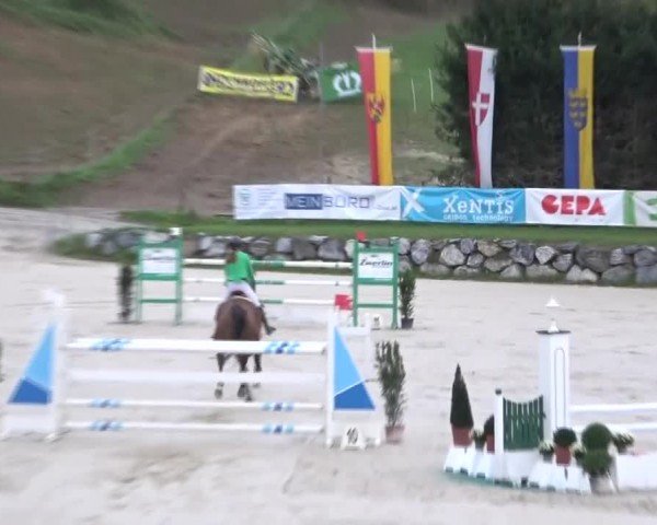 Reitturnier Preding 2024