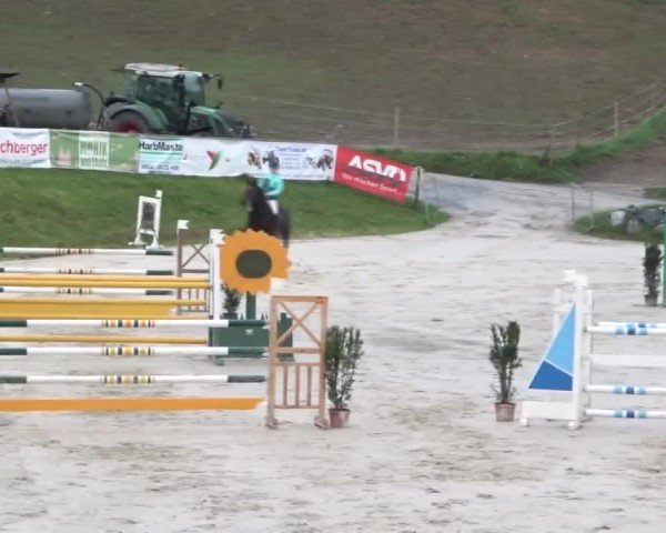 Reitturnier Preding 2024